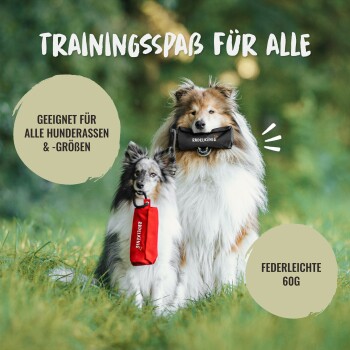 Zwei Hunde auf einem Feld: einer mit einem schwarzen Spielzeug, beschriftet 'RVDELKÖNIG', und der andere mit einem roten Spielzeug. Text erwähnt Trainingsspaß für alle Rassen.
