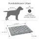 Graues Hundebett mit gepolstertem Design, beschriftet mit 'sauber | hygienisch | pflegeleicht', maschinenwaschbar bis 95°C, trocknergeeignet, von Doctor Bark.