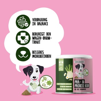 Grüner Hintergrund mit einem Behälter, der "PRÄ & PROBIO KUR für Hunde" beschriftet ist, umgeben von Pfefferminze, Karotte, Fenchel, Kamille, Hefe und Flohsamen.