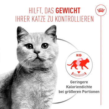 Graugetigerte Katzen-Porträt links mit deutschem Text ‚HILFT, DAS GEWICHT IHRER KATZE ZU KONTROLLIEREN‘ und rundem ‚KG‘-Gewichtsicon
