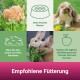 Bild, das in vier Abschnitte unterteilt ist: Kaninchen, die Gras fressen, Schüssel-Icon, Heu-Icon, Apfel-Icon und Text "Empfohlene Fütterung."