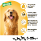 Golden Retriever mit einem glücklichen Ausdruck vor einem gelben Hintergrund, mit dem BisCrok-Logo und Text über Gesundheitsvorteile und Gewichtsspanne für Hunde.