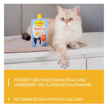 Cremefarbene blauäugige Katze neben einem GimCat-Puddingbeutel; Banner: 'FÖRDERT DEN KNOCHENAUFBAU MIT EINER EXTRA PORTION CALCIUM.'