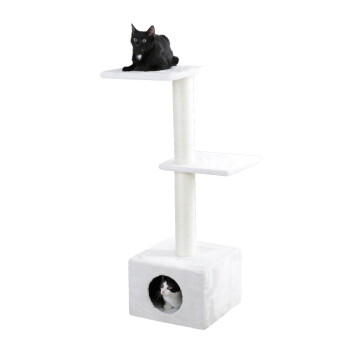 Schwarze Katze liegt auf oberer Plattform und schwarz-weiße Katze im Würfel-Kratzbaum mit zwei Plattformen und Kratzpfosten.