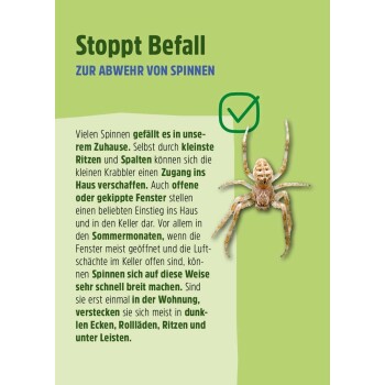 Spinne auf grünem Hintergrund mit deutschem Text: "Stoppt Befall zur Abwehr von Spinnen," der Methoden zur Spinnenprävention hervorhebt.