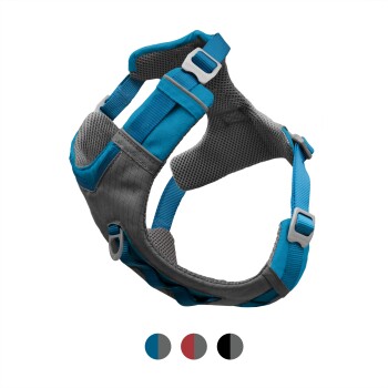 Journey Air Hundegeschirr blau/ grau L
