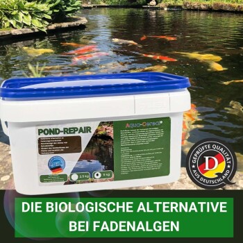 Aqua-Care's "Teich-Reparatur" Behälter neben einem Koi-Teich, gekennzeichnet als biologische Algenkontrolle mit 2,5 kg und 5 kg Optionen.