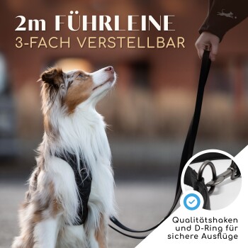 Verstellbare 2m Hundeleine mit einem angeleinten Hund; der Text lautet: "2m FÜHRLEINE 3-FACH VERSTELLBAR" und "Qualitätshaken und D-Ring."