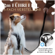 Verstellbare 2m Hundeleine mit einem angeleinten Hund; der Text lautet: "2m FÜHRLEINE 3-FACH VERSTELLBAR" und "Qualitätshaken und D-Ring."