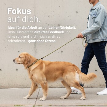 Golden Retriever an der Leine mit einem Spaziergänger; deutsche Überschrift ‚Fokus auf dich.‘ und Text über Leinenführungstraining und direktes Feedback