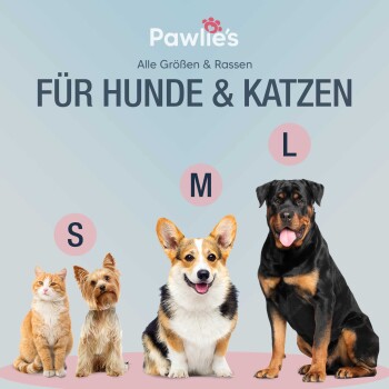 Pawlie's Werbung mit einer Katze und drei Hunden unterschiedlicher Größen, die mit S, M und L beschriftet sind, mit dem Text "FÜR HUNDE & KATZEN."