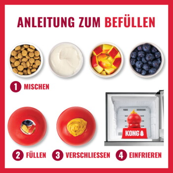 ANLEITUNG ZUM BEFÜLLEN Poster: Schalen mit Trockenfutter, Joghurt, gewürfeltem Apfel und Blaubeeren; Schritte und rotes KONG-Spielzeug, eingefroren im Gefrierfach.