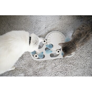 Zwei Katzen, eine weiße und eine graue, die mit einem Puzzle-Futterspender auf einem weichen, strukturierten Teppich interagieren.