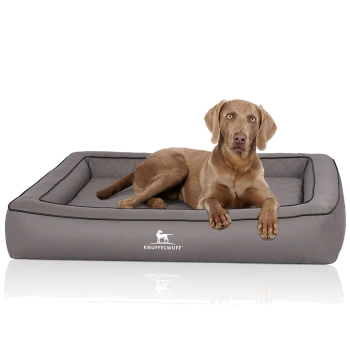 Brauner Hund liegt auf einem grauen rechteckigen Hundebett mit gepaspelten Kanten und gesteppter Innenfläche; 'KNUFFELWUFF'-Logo sichtbar.