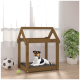 Ein kleiner schwarz-weißer Hund ruht auf einem grauen Kissen in einem hölzernen Hundehäuschen in einem hellen Raum mit einer Pflanze und Spielzeugen.