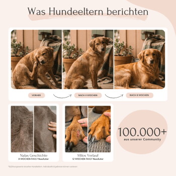 Eine Frau hält einen Beagle im Freien zwischen Grün, mit dem Text: "Besonders gut verträglich", "Sehr hohe Akzeptanz" und "Tausende glückliche Hundeltern."