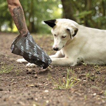 Zwei Rollen "lionto" Haustierabfallbeutel, eine schwarz und eine grün, mit dem Text: "Rollenkerne aus Pappe" und "Passt in jeden Spender."