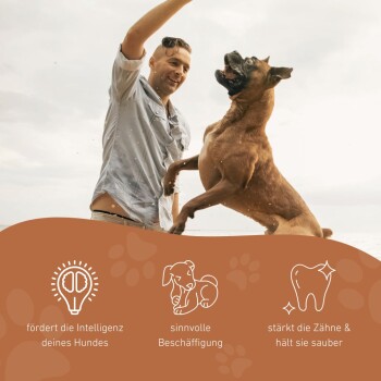 Eine Person spielt mit einem Hund am Strand und hebt die Vorteile hervor: steigert die Intelligenz, fördert das Engagement und reinigt die Zähne.