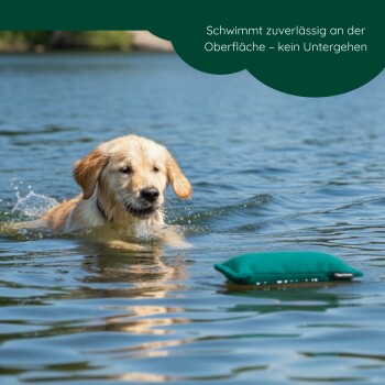 Türkis strukturiertes Stoff-Hundespielzeug mit einem schwarzen Etikett mit der Aufschrift „Romney's“ vor schwarzem Hintergrund.