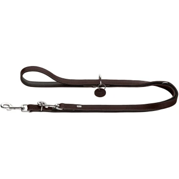 Braune Leder-Hundeleine mit silbernen Metallclips und einem runden Anhänger mit einem Hundesilhouette.