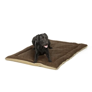 Ein schwarzer Labrador Retriever liegt auf einem großen, plüschigen braunen Hundebett mit beigem Rand und sieht zufrieden mit herausgestreckter Zunge aus.