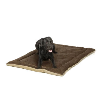 Ein schwarzer Labrador Retriever liegt auf einem großen, plüschigen braunen Hundebett mit beigem Rand und sieht zufrieden mit herausgestreckter Zunge aus.