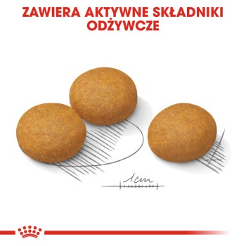 ROYAL CANIN Dermacomfort Maxi 12 kg | MAXI ZOO