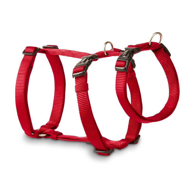 Wolters Professional Geschirr No Escape rot S