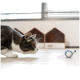 Eine grau-weiße Katze kauert auf einem Holzboden und beobachtet aufmerksam ein kleines blau-weißes Spielzeug mit einem pinken Licht.
