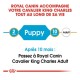 Guide Royal Canin pour les chiens Cavalier King Charles, indiquant "Puppy" pour 2 à 10 mois et "Adult" après 10 mois.