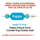 Guide Royal Canin pour les chiens Cavalier King Charles, indiquant "Puppy" pour 2 à 10 mois et "Adult" après 10 mois.
