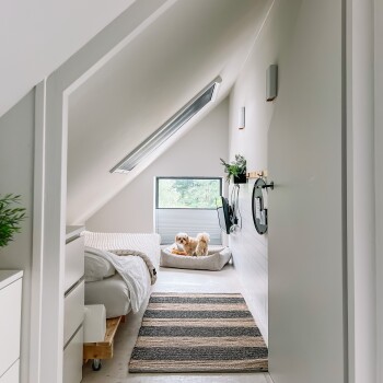 Ein gemütlicher, haustierfreundlicher Raum mit zwei kleinen Hunden auf einem Bett, einem großen Fenster und einem gestreiften Teppich, mit einem weißen Bett und minimaler Dekoration.