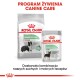 Opakowanie karmy dla psów Royal Canin Digestive Care, z torbą suchej karmy średniej wielkości i saszetką mokrej karmy, z tekstem podkreślającym poprawioną jakość stolca.