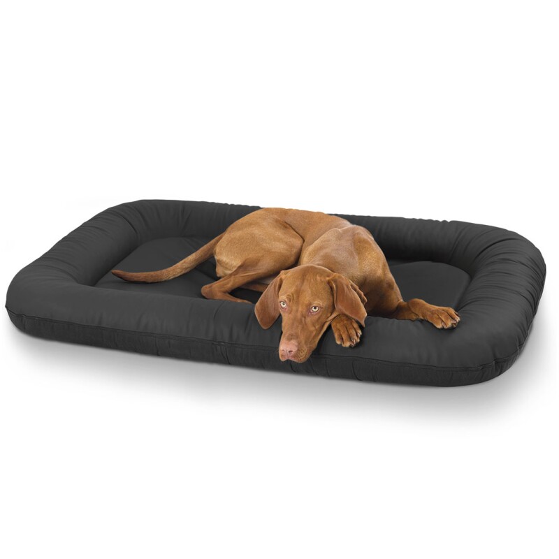 Knuffelwuff Kunstleder Hundebett Jerry Schwarz Xl