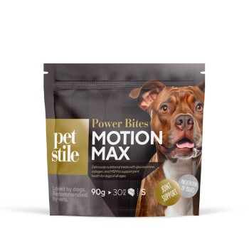Power Bites: Motion Max S