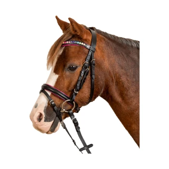 Trensenzaum Pinky Eine Nahaufnahme eines braunen Pferdes, das ein stilvolles schwarzes Zaumzeug mit einem mit Juwelen besetzten Stirnriemen trägt und seine eleganten Merkmale zeigt.
