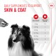 Daily supplements for dogs to support skin and coat, featuring a hand holding a supplement and a Collie dog. Weight guidelines listed.
