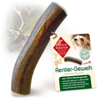 Rentier Geweih Snack XL