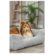 Ein flauschiger, braun-weißer Shetland Sheepdog liegt in einem weichen, grauen Hundebett, mit einer grünen Pflanze im Hintergrund.