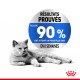 Un chat gris allongé avec un graphique circulaire indiquant "Résultats prouvés : Plus de 90% ont atteint un poids plus sain en 8 semaines."