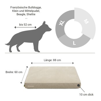 Hundebett Maße: 88 cm Länge, 60 cm Breite, 10 cm Dicke; geeignet für Rassen wie Französische Bulldogge und Beagle.