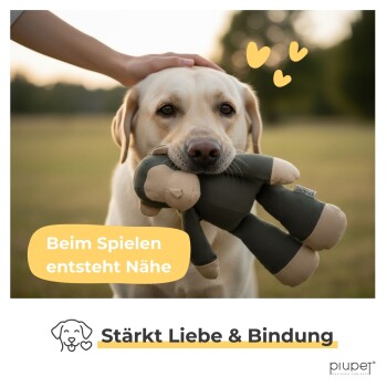 Hund hält ein Plüschtier im Maul, während eine Hand seinen Kopf streichelt, deutscher Text sagt "Beim Spielen entsteht Nähe" und "Stärkt Liebe & Bindung."