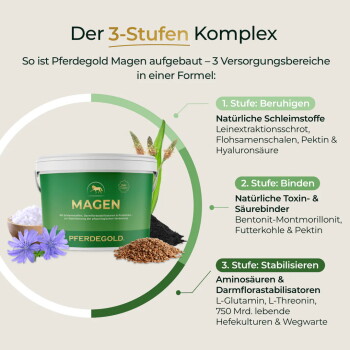 Grüner Behälter mit Aufschrift MAGEN PFERDEGOLD mit Kräutern und Pulvern; Überschrift 'Der 3‑Stufen Komplex'.