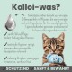 Eine süße Katze hält einen blauen Teddybären, mit Text, der die Vorteile von kolloidalem Silber für sanfte Wundpflege und Hygiene erklärt.