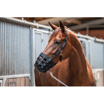 Fressbremse Grazeguard mit Polsterband WB (Warmblut)