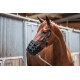 Fressbremse Grazeguard mit Polsterband WB (Warmblut)