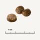 Drei runde, dunkelbraune Tierfutterpellets auf einem hellen Hintergrund, mit einem Lineal, das eine Skala von 1 cm anzeigt.