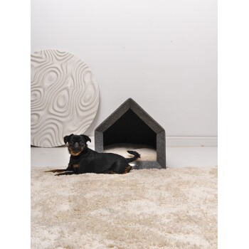 Ein kleiner schwarzer Hund liegt auf einem flauschigen cremefarbenen Teppich neben einem modernen grauen Hundehäuschen mit einem dreieckigen Dach.