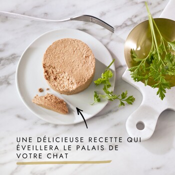Pâté rond pour chat sur assiette blanche avec persil et fourchette ; le slogan français indique qu'il « éveillera le palais de votre chat ».