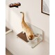 Eine rote Katze frisst aus einer doppelten Futterschüssel an einer wandmontierten Station, mit einer braunen Matte darunter und dem Logo "clickat by feandrea" in der Ecke.